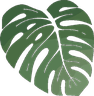 Natura Viva