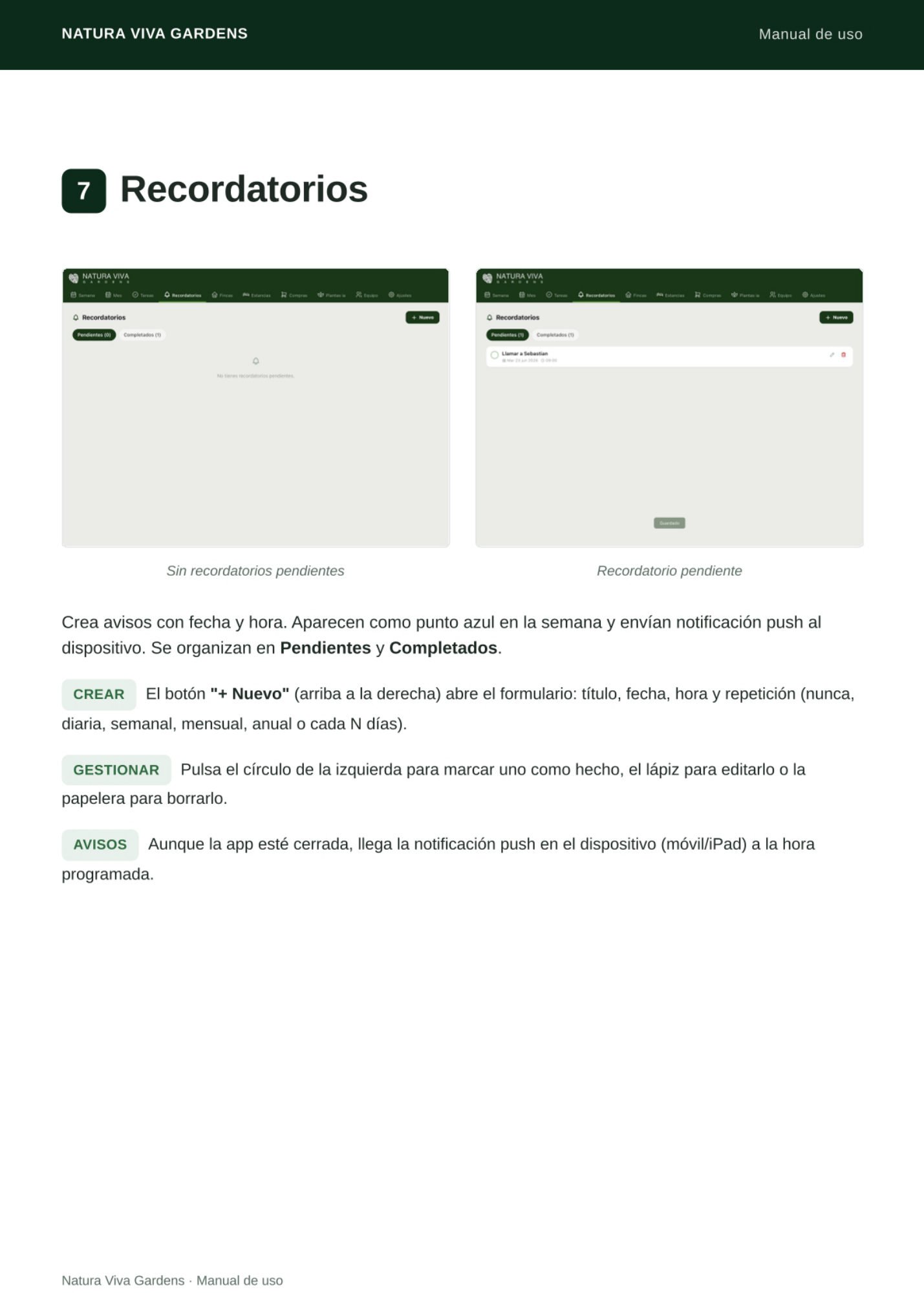 Página 12